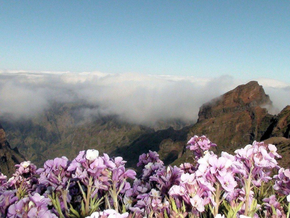 upptäck Madeira