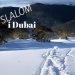 Åk slalom i Dubai 2