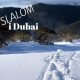 Åk slalom i Dubai 11